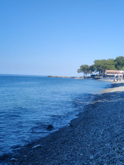 The image depicts a coastal scene on a clear, sunny day. The foreground is dominated by a pebbly beach, with small, smooth stones in various shades of gray and brown. The water, a deep blue, gently laps at the shore, creating small waves. Further out, the water stretches to the horizon under a vast, cloudless blue sky. Along the upper right portion of the image, a line of lush green trees stands behind a low building with a reddish-brown roof. Several people are visible walking on the beach near the building. The overall impression is one of a tranquil beach resort or coastal village. The location is identified as Δημοτική Ενότητα Ευρυμενών, Greece.