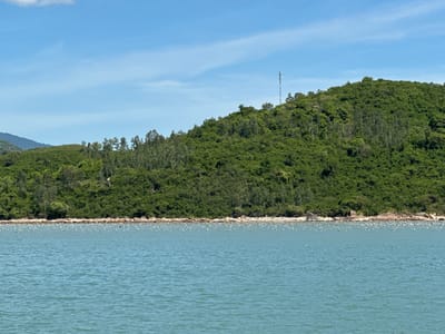 A wide, slightly elevated shot captures a tranquil scene along the coast of Nam Ninh Hoa, Vietnam. The image is divided into three horizontal bands: the sky, a densely forested hill, and the ocean.

The sky above is a clear, bright blue with wispy white clouds scattered across it. The sun is high, suggesting it is midday. The forested hill that forms the middle ground is a vibrant green, covered in a thick growth of trees and shrubs. The trees vary in height, creating an uneven, natural silhouette against the sky. A tall, slender telecommunications tower stands prominently on the crest of the hill, its metallic structure contrasting with the organic shapes of the vegetation. The base of the hill meets the water with a rocky shoreline, dotted with numerous small, white objects that appear to be birds, possibly resting or feeding.

The foreground is dominated by the calm, blue-green water of the ocean. The water's surface is gently rippled, reflecting the bright sky. Scattered across the water, particularly in the middle distance near the shore, are many more of the small white objects, most likely seabirds. The overall impression is one of a peaceful, natural environment, with the telecommunications tower being the only clear sign of human infrastructure. The weather is fair and sunny. There is no visible text in the image.