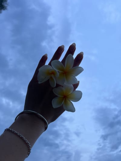 A human hand, silhouetted, is positioned in the foreground, extending upwards and slightly right against an overcast blue-grey sky. The hand holds three frangipani flowers (Plumeria), identifiable by their white petals with yellow centers. A silver-colored metal bangle encircles the wrist, with a silver-colored chain bracelet positioned lower on the forearm. Fingernails are discernible, appearing light-colored at the tips. The background consists solely of a cloudy sky, indicating diffused, backlit conditions. The scene is located in Corrimal, Australia.
