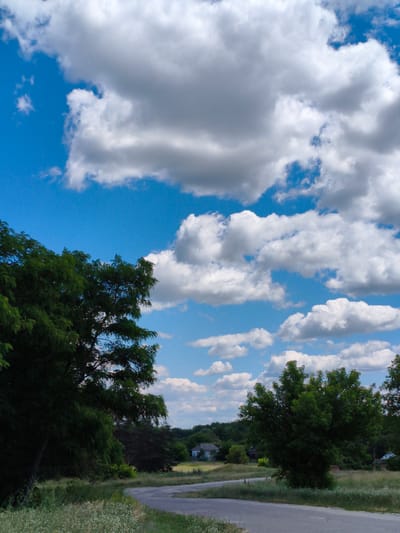 A rural road winds through a grassy landscape under a bright blue sky filled with dramatic white and gray clouds. Lush green trees frame the left side of the image, their leaves dense and shadowy. In the distance, a few houses are visible nestled among rolling hills covered in greenery. The road appears to be unpaved or made of asphalt in a state of disrepair, with dry grass and wildflowers growing along its edges. The overall impression is one of a peaceful, sun-drenched countryside scene in Matiashivka, Ukraine.