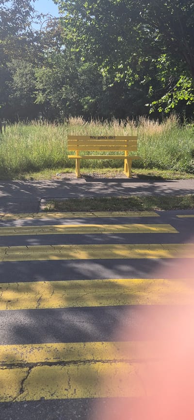 The image depicts a yellow park bench in Sargans, Switzerland, placed adjacent to a pedestrian crossing with yellow stripes. The bench is positioned in front of a grassy area with tall reeds and trees in the background. The text "Wie geht's dir?" is visible on the backrest of the bench. The pedestrian crossing is in the foreground, with shadows cast across it. The lighting suggests it is daytime, with sunlight filtering through the trees. There are no people or animals clearly visible in the image, except for a small bird near the bench.