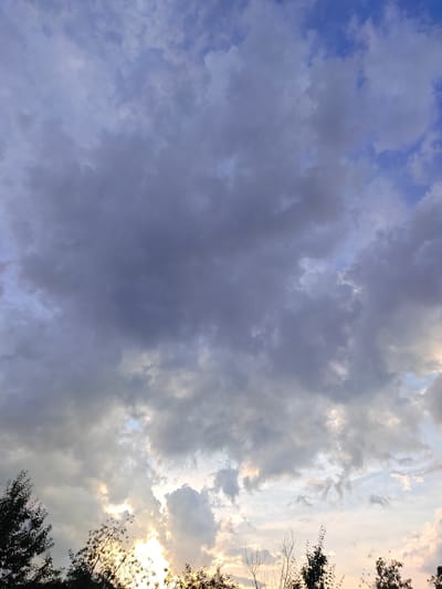 A wide-angle, high-angle shot captures the sky above Кашка-Суу, Kyrgyzstan, during what appears to be late afternoon or early evening. The sky is filled with a dramatic display of clouds. A large, dark grey cloud formation dominates the upper portion of the frame, obscuring much of the blue sky. Below this, lighter grey and white clouds are interspersed with patches of blue sky, some illuminated by a warm, yellow light. The sun is partially visible in the lower center of the image, peeking through a gap in the clouds, casting a bright glow. Silhouetted against the sky in the lower portion of the image are the tops of several trees, their branches bare or sparsely leaved, suggesting a cooler season. The overall impression is one of a vast, expansive sky with dynamic cloud formations and the soft light of the setting or rising sun. There are no people or specific man-made structures visible in the frame, focusing solely on the natural environment.