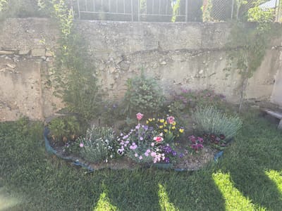 The image depicts a flower bed in a yard in Dorkovo, Bulgaria. The flower bed contains a variety of flowering plants, including pink carnations, pansies, and tulips. There are also some coniferous shrubs in the bed. The flower bed is bordered by a green plastic edging. Behind the flower bed is a rough concrete wall with some vegetation growing on it. There is grass surrounding the flower bed. The lighting is bright, suggesting it is daytime.