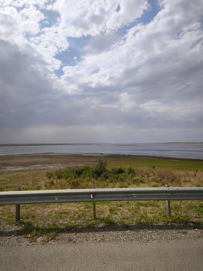The image depicts a wide, calm body of water, likely a lake or sea, stretching towards the horizon under a cloudy sky. The foreground features a gravel road with an asphalt shoulder, bordered by a metallic guardrail. Beyond the guardrail, a strip of dry grass and sparse vegetation gives way to a more lush green area closer to the water. The water's edge is lined with a mixture of dry, cracked earth and submerged vegetation. A flock of birds is visible on the shoreline. The scene appears to be located in the natural landscape of Levyi Ostrov, Russia, emphasizing its undeveloped, rural character.