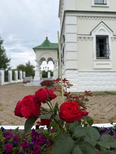 This image depicts a close-up view of vibrant red roses in the foreground, set against a backdrop of a building with a green-tiled roof and white walls. The building appears to be a religious structure, possibly a church or monastery, given its architectural style and the presence of a golden spire. In the mid-ground, there is a white fence with decorative pillars, suggesting a well-maintained area. The ground is paved with light-colored tiles, and there are other flowering plants, predominantly purple, visible behind the roses. The sky is overcast, indicating a cloudy day. The scene is likely situated in Karakulino, Russia, given the context of the image. There are no people visible in the frame. The overall impression is one of natural beauty juxtaposed with architectural elements.