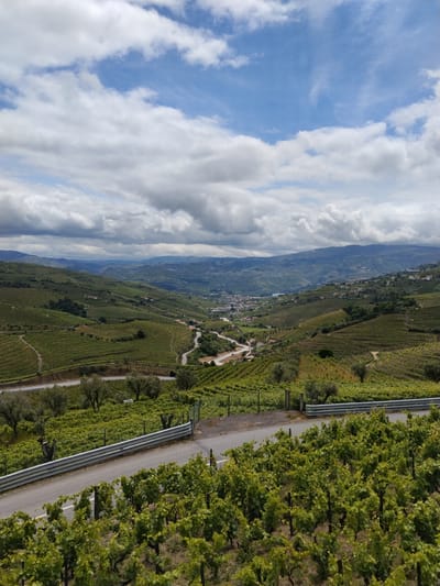 The image depicts a scenic landscape in Santa Marta de Penaguião, Portugal, likely showcasing the Douro Valley region. Rolling hills are covered in vineyards, arranged in neat rows and terraces. A winding road cuts through the landscape, leading toward a town in the distance. The sky is partly cloudy with patches of blue. A foreground road with a metal guardrail is visible amidst the vineyards.
