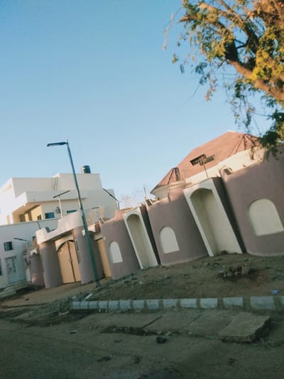 A street view under a clear blue sky features two buildings, one white and modern, the other with a brown roof. A brown wall with white arches separates the buildings from the street. A streetlight stands tall nearby. A tree’s branches reach into the frame from the upper right corner. The pavement in the foreground appears cracked and weathered.