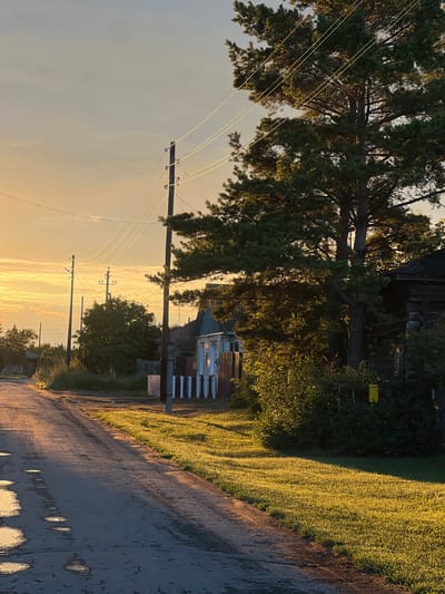 This is a vertical, eye-level shot of a rural dirt road in Pivkino, Russia, at sunset. The sky is a warm orange and yellow, with some wispy clouds. A tall pine tree dominates the right side of the frame, its branches reaching across the sky. Power lines run from a utility pole on the right to other poles further down the road. On the left side of the road, there are several houses and fences, and on the right, there is a wooden fence with a white and red patterned picket fence. The road itself is a dirt and gravel surface with several puddles of water reflecting the sky. The grass on the side of the road is green and bathed in the warm glow of the setting sun.