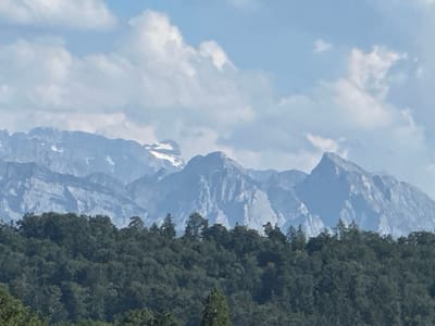 The image shows a panoramic view of a forested mountain range under a cloudy sky. In the foreground, a dense, dark green forest covers the rolling hills, with the tops of some trees reaching higher than others. Behind the forest, majestic, bluish-grey mountains rise, with some peaks showing patches of snow or bright rock. The sky is a pale blue, interspersed with large, soft white clouds that cast shadows and create a sense of depth. The overall impression is one of natural grandeur and peacefulness. This scene is characteristic of the landscapes found in and around Wald (ZH), Switzerland, known for its extensive forests and proximity to alpine regions. There are no people or man-made structures visible in this specific image.