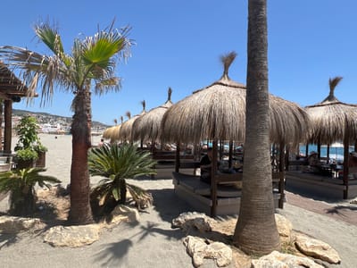 This image depicts a sunny outdoor scene at a beachside establishment in San Roque, Spain. The foreground is dominated by a sandy area with several large rocks and two prominent palm trees, one of which is closer to the viewer and thicker. Behind the palm trees, a row of thatched-roof cabanas with open sides is visible, offering seating and shade to patrons. These cabanas are situated on the sand and appear to be part of a restaurant or lounge area, with tables and lounge-style seating visible within them. In the background, the beach stretches out, with people relaxing on loungers and enjoying the sea. Further in the distance, a town with white buildings is nestled on a hillside under a clear blue sky. The overall atmosphere is relaxed and summery, indicative of a coastal resort.