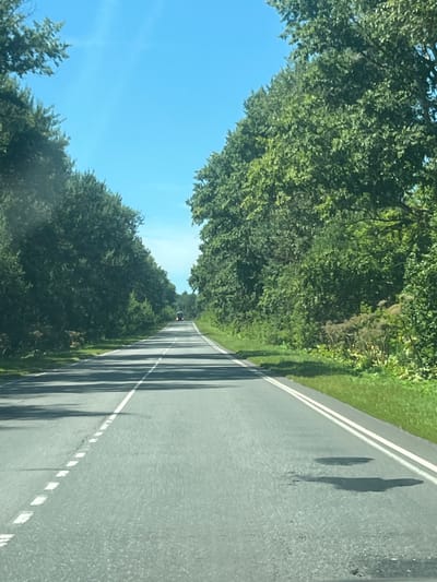 An upward-angle, medium shot captures a paved road stretching into the distance, bordered by dense, green trees on either side. The sky above is a clear, vibrant blue. A single, dark-colored vehicle is visible in the far distance, heading away from the camera. The road is marked with dashed white lines on the left and solid white lines on the right. Shadows from unseen objects, likely trees, are cast across the road. The ground on the right side of the road is covered in grass and some dried vegetation. The scene appears to be on a sunny day, possibly in a rural or suburban area, based on the natural surroundings and the absence of buildings or urban infrastructure. The location is Dmitrovsk-Orlovskiy, Russia.