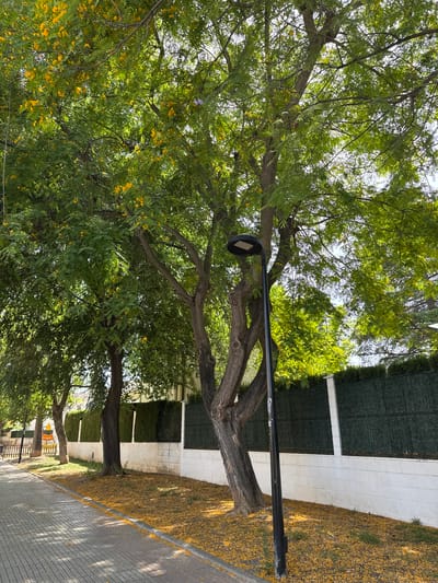 This is a vertical, eye-level, full-shot photograph of a tree-lined street in Benirredrà, Spain, on a bright, sunny day. The foreground features a sidewalk paved with light gray rectangular tiles, casting dappled shadows. To the right of the sidewalk, a strip of grass is covered with fallen yellow leaves, leading to a low, white brick wall topped with a dark green fence. A tall, dark lamppost with a modern, dark gray lamp stands on the sidewalk, angled slightly towards the viewer, in front of a large tree with green leaves and small yellow flowers. Behind the lamppost and fence, more trees and parts of buildings are visible. To the left of the sidewalk, there's a glimpse of a wooden fence, a colorful play structure, and more trees. The overall impression is of a pleasant, well-maintained urban outdoor space.