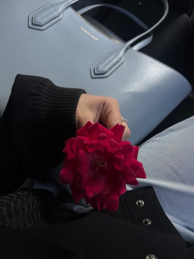 A close-up captures a hand holding a vibrant red rose. The hand, adorned with a ring, wears a black long-sleeved shirt. Beside the hand is a light blue tote bag with handles. The scene also includes parts of clothing, including a light blue shirt and a black jacket with visible metal buttons. The image has a cool tone due to the blue and black colors dominating the composition.
