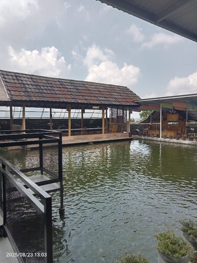 This image depicts an outdoor leisure or dining area, specifically a waterside restaurant or resort, located in Palasari, Indonesia. The scene is dominated by a large, rippling body of murky green water, likely an artificial pond or lake, under a partly cloudy sky with white and grey stratocumulus clouds.

In the midground, a prominent, open-sided building with a multi-toned, rustic tiled roof (brown, orange, grey) extends over the water on the left. This structure is supported by light-colored vertical poles, possibly bamboo, and features an elevated platform with multiple dark-colored tables and benches arranged for seating. Decorative screens or panels are visible on the far side of this structure. To the right, an adjacent, simpler open-sided structure with a flatter, grey corrugated metal roof also extends over or beside the water. This area contains additional wooden tables and chairs, and its edge is lined with numerous potted plants in dark containers. Colorful fabric banners are suspended from the ceiling of this right-hand structure.

In the foreground, on the bottom left, a dark-colored metal railing or fence with a mesh infill partially obscures the water, suggesting a walkway or viewing platform. Part of a digital timestamp, "2025/08/23 13:03," is present in the lower left corner. Several potted green plants are also visible in the lower right foreground. No individuals are present in the image. The overall environment suggests a tranquil, unoccupied setting designed for relaxation or dining.