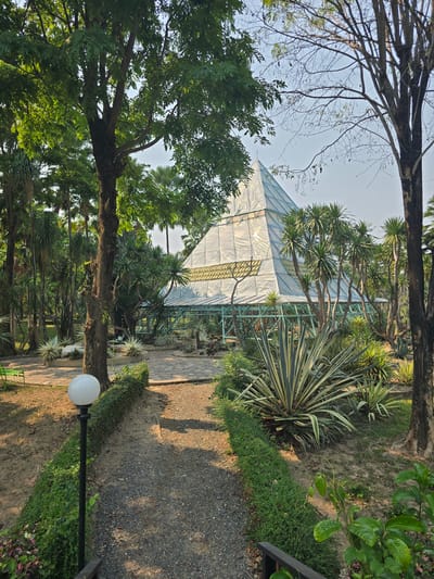 The image captures a vibrant outdoor scene, likely a botanical garden or park, characterized by a mix of natural foliage and a man-made structure under bright daylight. The overall composition is lush with diverse plant life.
In the center-right of the frame stands a large, multi-faceted greenhouse. It features a light-colored, possibly white or translucent plastic or fabric covering, stretched over a framework of light green or teal metal beams. Sunlight catches its surfaces, creating bright reflections and visible folds in the covering material.
The left side of the image is dominated by mature trees with dark, textured trunks and dense canopies of green leaves, some of which are brightly illuminated by the sun, while others cast dappled shadows. These trees frame the scene and provide a sense of depth. In the upper left, a portion of the clear, light blue sky is visible through the branches of a tree, some of which appear bare or thinly leaved against the sky.
Moving towards the right and mid-ground, a variety of plants thrive. Several palm-like plants with slender trunks and spiky, green foliage are scattered around the greenhouse. A particularly striking feature is a large agave or yucca-like plant in the mid-right, showcasing long, rigid leaves with prominent variegated stripes of green and creamy white. Smaller green bushes and ground cover fill the areas between larger plants.
A gravel path or walkway, illuminated by patches of sunlight and shadow, runs from the bottom-right corner of the image, curving slightly as it leads towards the center, past the greenhouse structure. The ground adjacent to the path consists of bare earth and sparse vegetation.
In the lower right corner, a white spherical lamp post on a dark pole stands beside the gravel path, adding a touch of artificial light source to the natural setting. The strong shadows cast by the trees and the structure indicate that the sun is high in the sky, suggesting late morning or early afternoon. No people or visible text are present in the image.