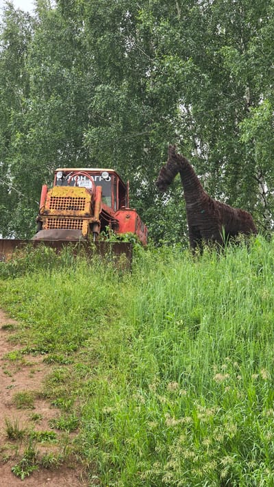 An aged, red and yellow tractor, identified as a DT-75, sits partially overgrown with grass and vegetation in a rural setting. To the right of the tractor, a dark brown, woven sculpture of a horse stands on a grassy incline. The background is dominated by a dense canopy of green trees, likely birch, suggesting a temperate climate. A dirt path is visible on the left side of the image. The overall impression is one of a rustic or abandoned outdoor space, possibly in or near Bol'shoi Mashlyak, Russia, where the tractor and sculpture are displayed.