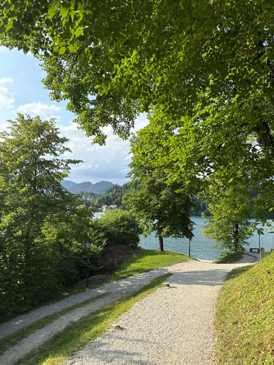 The image shows a gravel pathway leading down to a lake. The pathway is framed by lush green trees and shrubs.  The lake, Lake Bled, is visible in the distance, with the Bled Island and the Bled Castle on the far shore. The image was taken in the late afternoon as the sun casts long shadows on the pathway. The coordinates (46.363, 14.09) are consistent with the location of the path leading down to the lake in Bled, Slovenia. There are no people present in the scene.  The image is captured from a perspective slightly above the ground, providing a clear view of the pathway and the lake. The lighting is natural, with bright sunlight illuminating the scene.  The overall impression is one of serenity and tranquility.