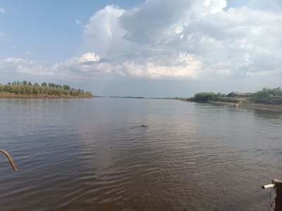 The image depicts a wide, calm river under a cloudy sky. The riverbanks are lined with dense green trees, suggesting a natural, undeveloped area. On the left bank, the trees are continuous, forming a solid line. The right bank is also forested, with a few areas of cleared land and what appear to be some structures or piles of logs. The water is a murky brown, reflecting the overcast sky. A small, bright blue object is visible floating in the middle of the river, possibly a buoy or debris. In the foreground, on the right side of the image, a rusty metal railing or pipe is partially visible, implying the presence of a dock or a vessel. The overall scene is one of a serene, somewhat remote river landscape. There are no people visible in the image. The location in Alexandrovskoe, Russia, is a town situated on the banks of the Tom River, which is known for its wide expanse and forested surroundings. This image is consistent with the natural environment of the Tom River in the Alexandrovskoe area.
