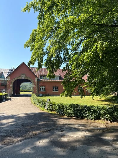 The image depicts a pathway leading to an arched entrance of a red building with a tiled roof. The building has several windows with white frames. In front of the building, there is a manicured green lawn bordered by a hedge. To the left of the pathway, a fenced area is visible, and further in the background, construction work is ongoing on another part of the building, with tarps covering the roof. The sky is clear and blue, and lush green trees with dense foliage overhang the scene, casting shadows on the ground. The overall impression is a well-maintained historical or estate property on a sunny day. The location is identified as Bridel, Luxembourg. There are no people visible in the image.