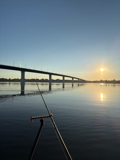 The image depicts a serene waterfront scene at sunrise or sunset, likely in Tarasovo, Russia, with a long bridge spanning a wide body of water. In the foreground, a fishing rod rests in a rod pod, its tip arching slightly over the calm, rippling water. The sun, a bright orb, casts a golden glow on the horizon, reflecting on the water's surface and illuminating the clear, pale blue sky. The bridge, constructed with substantial concrete pillars, stretches across the frame, with streetlights lining its top. A distant ship or boat is visible near the bridge, and a treeline marks the far bank of the river. The overall impression is one of tranquility and quiet anticipation, typical of early morning or late evening fishing.