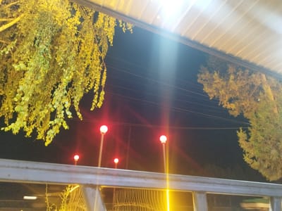 A night-time, outdoor photograph taken in the city of Kyzyl-Kyya, Kyrgyzstan, shows a view from beneath a corrugated metal awning. To the left, a tree with yellow-green foliage hangs down, its branches extending towards the foreground. In the middle ground, three streetlights with round, illuminated globes are visible against the dark sky. The globes appear to be red, white, and yellow, with the lights casting a warm glow. A metal railing runs across the lower portion of the image, partially obscuring the view of a wire fence and some sparse vegetation below. In the upper right, another tree with yellow-green foliage is visible, and power lines stretch across the sky. A bright light source, likely a street lamp or a bright exterior light, shines down from the awning on the right side of the frame, creating a lens flare effect.