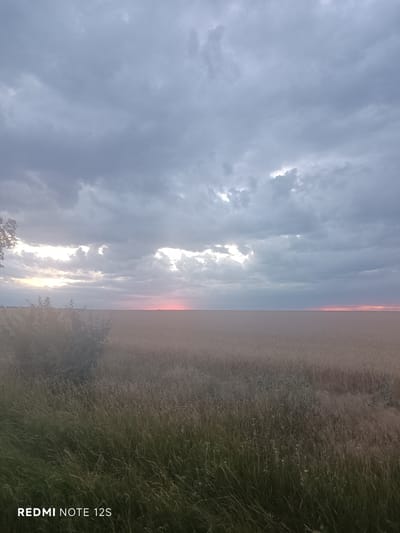 The image depicts a wide-angle view of a rural landscape, likely at dusk. The sky is filled with heavy, gray clouds, with a break in the center revealing a soft pink and orange glow from the setting sun. Below the sky, a vast, flat field of dry, golden-brown vegetation stretches to the horizon. In the foreground, on the left side of the image, a cluster of dark green, leafy bushes and tall grasses are visible, with a tree trunk on the far left. The bottom left corner of the image contains the text "REDMI NOTE 12S". There are no people or animals visible in the frame. The scene appears to be in a natural, open environment, consistent with farmland or a meadow. The location is specified as Gaidar, Moldova.