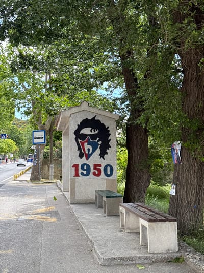The image shows a bus stop located in Dugi Rat, Croatia, at coordinates 43.445 latitude and 16.639 longitude. The bus stop is situated on the side of a road and is a simple concrete structure painted white. There is a large graffiti mural on the front of the bus stop depicting a black silhouette of a man's head wearing sunglasses and a red and blue bandana. Below the head is the number "1950" painted in red and blue letters. In front of the bus stop are two concrete benches with wooden slats. There is a large tree to the right of the bus stop, its trunk in the foreground. There are also some trees behind the bus stop. In the background, a car is driving on the road and there is a sign on the opposite side of the road. The road surface is asphalt and is lined with yellow bollards. The sidewalk is concrete and there are a few leaves on the ground.