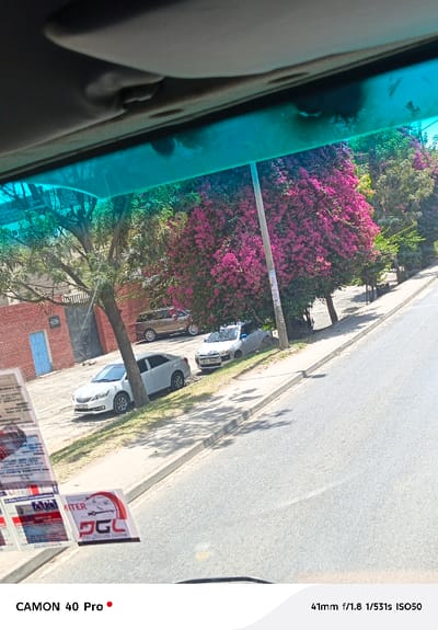 The image depicts an outdoor street scene in Viwandani ward, Kenya, viewed from inside a vehicle through its windshield. The upper portion of the frame shows the vehicle's gray roof lining and a blue-green tinted sun visor or windshield strip. In the lower-left foreground, several laminated white cards with red and black text, including one with "GCL For ultimate control" and a speedometer graphic, are affixed to the windshield.
The scene outside the vehicle features an asphalt road occupying the right side, bordered by a concrete sidewalk and a narrow grassy strip on the left. A light-colored sedan (license plate partially visible as KCV 587J) is parked partially on the grassy strip next to the sidewalk. Further down, a second light-colored hatchback (license plate KCC 996X, with a dislodged front bumper) is also parked on the grassy strip. A brown SUV is partially visible parked on a dirt area behind these cars, in front of a building.
The environment is characterized by lush vegetation. A prominent tree with green foliage stands between the sidewalk and the road, while large, vibrant pink-flowered trees (Bougainvillea) dominate the background along the left side of the street. A gray utility pole with affixed posters stands near the pink-flowered trees. In the far left background, a building with a red brick facade and a distinct blue door is visible. The sky is clear blue, indicating daylight. No individuals are present in the visible frame, and no specific actions or interactions are depicted.