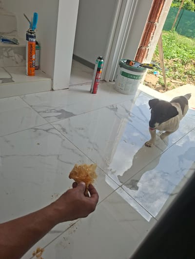 The image depicts an indoor scene with white marble-patterned tiles on the floor and partially visible white walls and a doorway. In the foreground, a person's arm and hand are visible, holding a piece of flaky food. To the right, a small dog with brown and white markings is walking on the tiled floor, with its tongue out. In the background, construction materials are present, including cans of expanding foam, a bucket of what appears to be construction material, and a ladder leaning against a brick structure. Outside, greenery and a fence are visible, suggesting a residential or construction site setting. The presence of construction materials and an unfinished doorway implies ongoing renovation or construction work. The location is identified as Dolna Malina, Bulgaria.