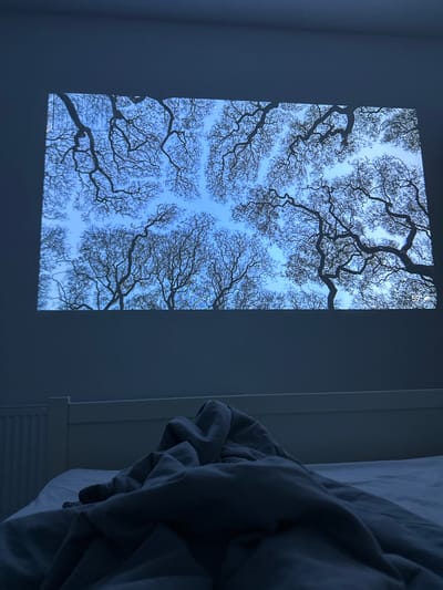 The image depicts a bedroom scene with a projection of silhouetted tree branches against a clear blue sky displayed on the wall above a bed. The bed is covered with rumpled dark grey bedding. A white radiator is visible to the left of the bed, and the headboard of the bed is white. The overall lighting is dim and blue-toned, suggesting it is nighttime or the room is darkened. There are no people visible in the image. The scene is indoors, in what appears to be a residential setting. The city of Moortown, Ireland is not directly indicated in the visual elements of the image.