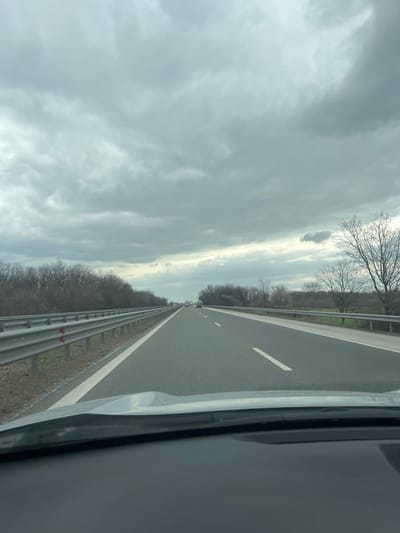The scene depicts a multi-lane asphalt highway in Trilistnik, Bulgaria, viewed from the interior of a vehicle looking forward through the windshield. The vehicle's dashboard and a portion of its hood are visible in the foreground. The roadway features distinct white lane markings, including a solid line delineating the left shoulder and dashed lines separating traffic lanes. Metal guardrails, fitted with red reflectors, line both sides of the highway. Beyond these barriers, dense formations of bare deciduous trees and shrubs flank the road. Several light-colored vehicles are visible in the distance, traveling in the same direction on the highway. The sky is uniformly overcast with dense grey clouds. No individuals are visible. The scene captures ongoing vehicle movement on the highway under dim, cloudy conditions.