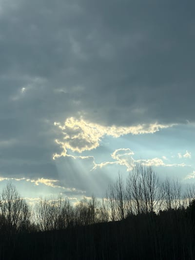 The image shows a view of the sky with clouds and the silhouetted tops of trees. The sky is partially obscured by dark, ominous clouds on the left side, while the right side reveals patches of blue sky with sunbeams streaming through the breaks in the clouds. The trees appear bare, suggesting it is either late autumn or winter. The horizon line is dominated by the dark silhouette of the treeline. The location is Novoromashkovo, Russia.