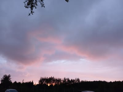 The image depicts a dusky sky over a silhouetted treeline, with hints of pink and purple in the clouds. A branch with leaves hangs from the top left corner, obscuring a portion of the sky. In the lower foreground, parts of two cars are visible, parked near a fence. The scene appears to be an outdoor setting, possibly a roadside or a parking area, in the city of Ignatki, Poland. There are no people actively engaged in any actions within the frame, and the overall atmosphere is calm and subdued, characteristic of twilight.