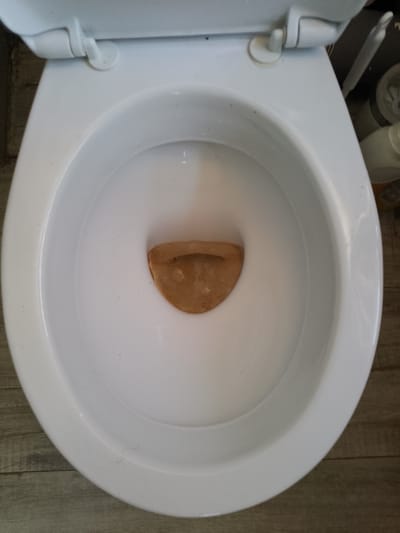A toilet bowl with a half-moon shaped object submerged in water is captured from a top-down perspective. The toilet is white porcelain and appears to be clean with some minor debris visible. The object is brown and appears to be organic, possibly a piece of wood or dried plant material. The background shows a wooden floor. No people are visible in the image. The image is a close-up of a toilet bowl.