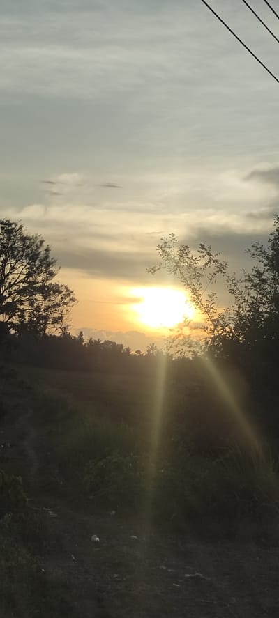 The image captures a sunset scene near Cotentung, Indonesia. The sun is partially obscured by clouds and vegetation, emitting rays of light. In the foreground, silhouetted foliage and trees frame the view, with a dark, indistinct ground area. Utility wires are visible in the upper right corner. The background reveals more trees and a flat, open area, possibly a field. The overall atmosphere is muted, with soft, diffused light.