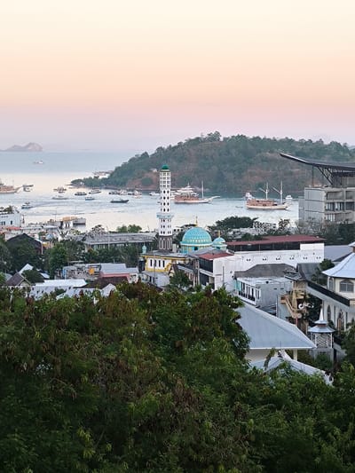 This is a medium-angle, eye-level, outdoor, wide shot of a coastal city at sunset. The image depicts a harbor filled with boats, ranging from large sailing vessels to smaller motorboats. Buildings of varying architectural styles, including a mosque with a distinct blue dome and a tall minaret, are visible along the coastline. Trees and lush vegetation cover the foreground and the hills in the background. The sky is a gradient of soft orange and pink, indicating the approaching dusk. The scene suggests a bustling port town in a tropical climate. The presence of the mosque strongly suggests the location is in Indonesia, and given the harbor and overall aesthetic, it is likely the city of Labuan Bajo.