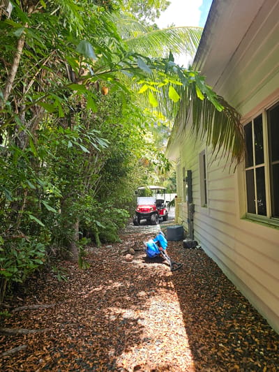 The image depicts a residential property in Islamorada, Florida, United States of America. The foreground is dominated by a pathway covered in fallen leaves and gravel, leading towards two red golf carts parked further down the path. A blue plastic container with a handle and wheels is also present on the ground near the path. To the right, the side of a light-colored, single-story building is visible, featuring horizontal siding and multiple windows. Lush green foliage, including palm fronds and trees, frames the scene, suggesting a tropical environment. Sunlight filters through the leaves, casting shadows on the ground.
