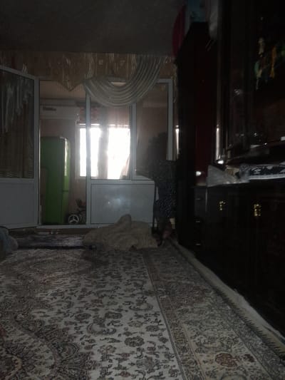 The image depicts an interior scene, likely a room in a dwelling in Uchquduq, Uzbekistan. The foreground is dominated by a large, ornate carpet with a floral pattern in muted colors. To the left, a set of double doors with glass panels is open, revealing a glimpse of another room. In this adjacent space, a tall, bright green refrigerator stands against a wall. Further back, a window with sheer curtains is visible, allowing bright sunlight to stream in. To the right of the doors, a dark wooden wardrobe or cabinet with brass handles is prominent. Part of a person, dressed in a dark, patterned garment, is visible in the middle ground, appearing to be near the doors. The overall lighting is dim, with the exception of the sunlight from the window. The room appears somewhat cluttered, with various objects partially visible.