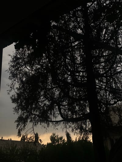 The image shows a silhouette of a large tree against a cloudy sky. The tree's branches are intricate and spread widely, obscuring much of the background. In the lower portion of the image, the roofs of buildings and the tops of other trees are visible, also in silhouette. The sky is overcast with a hint of light from what appears to be a sunset or sunrise peeking through the clouds, casting a warm glow. The overall mood is somber and atmospheric, with the dark silhouettes creating a sense of mystery. The image location is identified as Myrza-Ake, Kyrgyzstan.