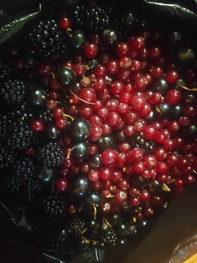A close-up, overhead view of a pile of ripe red currants and blackberries contained within a black plastic bag. The berries are clustered together, with the red currants filling the upper and right portions of the frame and the blackberries dominating the left and bottom. Some of the berries appear slightly wet. The image is brightly lit, with reflections visible on the surfaces of the berries. The location is the city of Baytik, Kyrgyzstan.