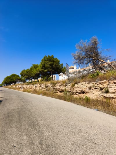 A wide, paved road slopes upwards to the right under a clear blue sky. On the left side of the road, the edge of a car is visible. The right side of the road is bordered by a rocky, arid embankment with dry grass and scrub. A line of healthy green pine trees runs along the top of the embankment, and beyond them, a pale, multi-story building with red-tiled roofs and chimneys is visible. A bare, dead tree leans out over the embankment in front of the building. A sign with text is also visible near the building. A discarded blue plastic bottle lies on the right side of the road near the embankment.