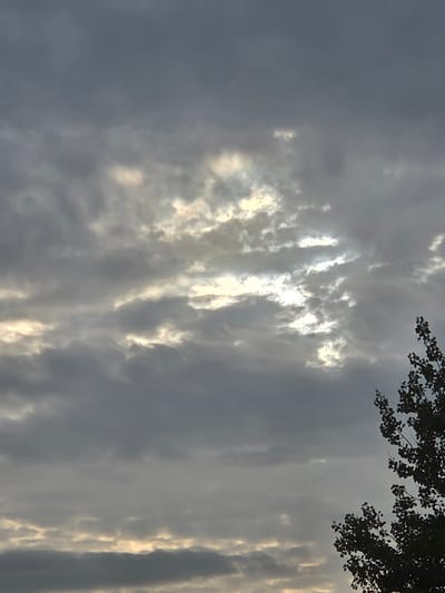 The image is a photograph of a cloudy sky with some patches of sunlight breaking through. A silhouette of a tree with dark green leaves is visible on the right side of the frame, extending from the bottom to the upper right corner. The clouds are a mix of dark gray and lighter shades, with the sunlight creating bright, hazy areas. The overall atmosphere is subdued, suggesting it may be dusk or an overcast day. The location is identified as Širvintos, Lithuania. There are no people or any visible actions or interactions occurring in the scene.