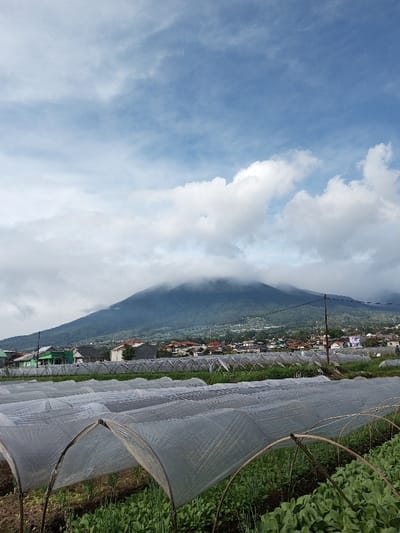 The image displays an agricultural landscape in Salai Har Htan, Myanmar. The foreground features cultivated fields containing multiple rows of green crops. Several of these rows are covered by arched, semi-transparent white mesh or fabric structures, likely for crop protection. Beyond the fields, a residential area is visible in the midground, consisting of numerous buildings with various colored roofs, interspersed with green vegetation. A utility pole stands on the right side of the midground. In the background, a large, dark green mountain rises, its peak partially obscured by a band of white clouds or mist. The sky above is partly cloudy with blue patches and white cumulus clouds. No individuals are depicted.