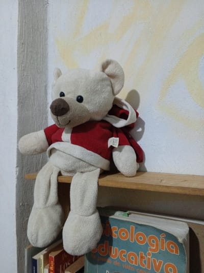 A white teddy bear wearing a red and white hooded jacket is sitting on a wooden shelf. The shelf is positioned against a wall with a textured surface and yellow paint streaks. Below the shelf are several books. One book is titled "Psicología Educativa." The location is Parroquia Ocumare, Venezuela.