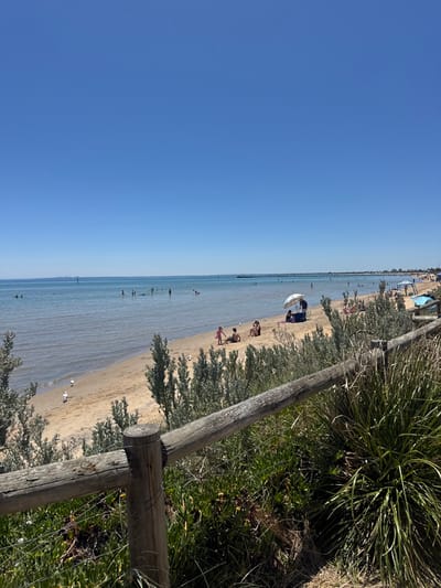 This media file presents a sun-drenched beach scene in Frankston, Australia, viewed from a slightly elevated perspective. The upper half of the image is dominated by a vast, clear blue sky, meeting a calm, light blue body of water that spans the horizon.

The foreground on the right features lush green coastal vegetation, including tall grasses and small bushes, alongside a sturdy wooden fence that partially frames the view. The sandy beach stretches along the shoreline, where several people are engaged in leisure activities. A group is seen relaxing under a white beach umbrella, with a small blue tent or shelter positioned nearby. Other individuals are scattered along the sand and wading or swimming in the shallow, clear ocean waters.

A long pier is a prominent feature, extending far into the water in the background, with a few small figures visible on it. The water appears tranquil, suggesting a sheltered bay or calm day. The bright, direct sunlight indicates it is likely midday or early afternoon, creating a serene and inviting atmosphere for beachgoers. There is no visible text in the image.