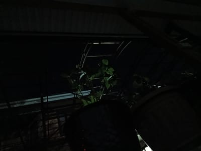 The image depicts a dark, somewhat ominous scene, likely taken at night or in a poorly lit area. The foreground is dominated by the dark, rounded shapes of what appear to be large plant pots. One pot is in the lower left, and another is in the lower right, with a section of a third pot visible behind the first. Green foliage, characteristic of plants, is visible in the midground, reaching out from behind the pots.

Above the plants and pots, there is a complex structure of dark, angular shapes. These appear to be made of metal and wood, forming a roof or canopy. The upper part of the image shows horizontal and diagonal beams, suggesting some kind of overhead structure. In the mid-upper section, a curved metal frame, possibly part of a trellis or support system, is discernible. The overall impression is of an outdoor space, perhaps a garden or a sheltered patio area, under a constructed roof.

The lighting is very low, with harsh shadows and limited detail. The scene appears to be situated in an urban or semi-urban environment, given the presence of constructed elements like the roof and pots. The reference to Shamaldy-Say, Kyrgyzstan, places the scene geographically, but there are no specific landmarks or elements within the image that definitively confirm this location. The image conveys a sense of stillness and perhaps a hint of neglect due to the darkness and the way the plants are partially obscured.