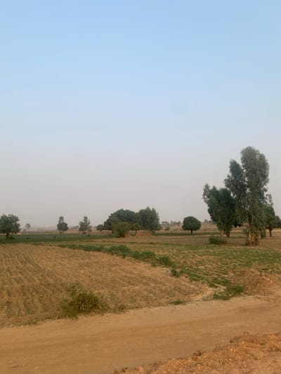 A landscape image displays a scene with a clear, pale blue sky dominating the left side. On the right, a dirt road runs along the edge. A field extends inward from the road, dotted with sparse vegetation and hints of dried crops. A line of trees grows along the field's edge, varying in size and density, creating a sense of depth. The overall impression is rural and serene, with earthy tones contrasting against the expansive sky.