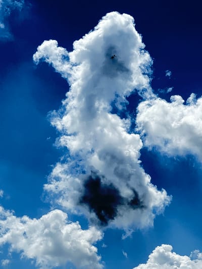A low-angle, wide shot captures a bright blue sky with large, fluffy white cumulus clouds. A single dark bird is visible in flight against a towering, central cloud formation that is partially shadowed. The setting is the sky above Plast univska, Russia, on a clear day with substantial cloud cover.