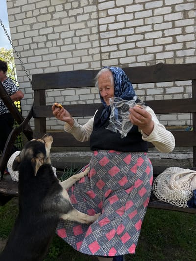 This media file features an elderly woman sitting on a wooden bench outdoors, with a dog lying beside her. The woman is wearing a blue headscarf and a white ribbed sweater over a dark vest, with a patterned skirt. She is holding a piece of food in a plastic wrapper and appears to be offering it to the dog, which is looking up at her expectantly. The dog is black and tan with some grey fur on its back.
The scene is set against a backdrop of a white brick wall and wooden fencing. To the right of the woman, a white mesh bag is visible on the bench. Green grass and foliage surround the bench, suggesting an outdoor, possibly rural, setting. The lighting suggests it is daytime, and the presence of green grass indicates fair weather. Another person is partially visible in the lower left corner, looking down. The overall mood appears to be one of gentle interaction between the woman and the dog.
The location is identified as Vertelka, Ukraine. No visible text is present in the image.