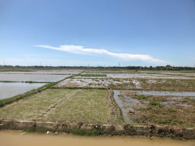 The image shows a flooded paddy field in Blangawe, Indonesia. The rice paddies are divided into rectangular plots, some filled with water, others containing patchy green vegetation and mud. In the background, there are transmission towers and indistinct buildings. The sky is light blue with a thin, white cloud formation. The foreground features water reflecting the muddy terrain.